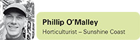 View contributor profile Phillip O'Malley
