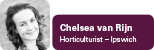 View contributor profile Chelsea van Rijn