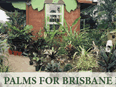 Palms For Brisbane