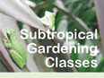 Subtropical Gardening Classes