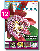 Issue 12