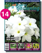 Issue 14
