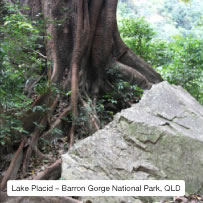 Lake Placid, Barron Gorge National Park, Queensland