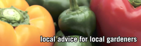 local advice for local gardeners