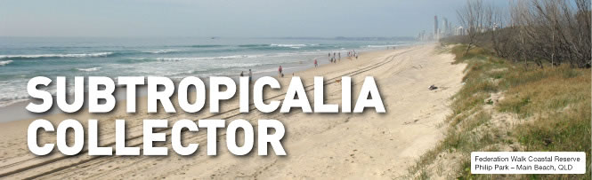 Federation Walk Coastal Reserve, Philip Park � Main Beach, QLD