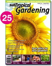 Preview Issue 25