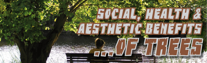 Social, Health & Aesthetic Benefits...of Trees Social, Health & Aesthetic Benefits...of Trees