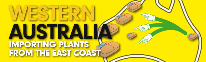Western Australia importing plants from the east coast Western Australia importing plants from the east coast