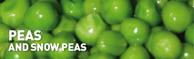Peas and Snow peas Peas and Snow peas