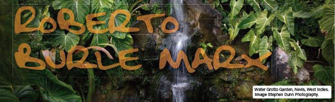 Water Grotto Garden, Nevis, West Indies. Image Stephen Dunn Photography. Water Grotto Garden, Nevis, West Indies. Image Stephen Dunn Photography.