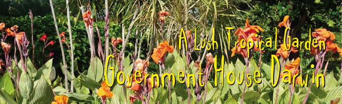 A Lush Tropical Garden - Government House Darwin A Lush Tropical Garden - Government House Darwin
