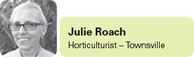 View contributor profile Julie Roach
