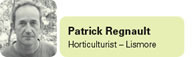 View contributor profile Patrick Regnault