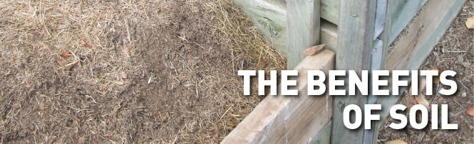 The Benefits
of Soil The Benefits of Soil