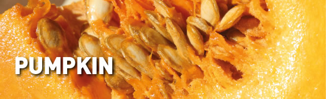 Pumpkin Pumpkin