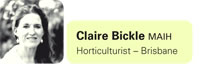 Claire Bickle