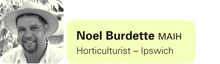 Noel Burdette