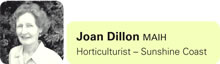 Joan Dillon
