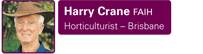 Harry Crane