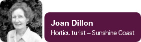 Joan Dillon