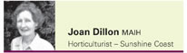View contributor profile Joan Dillon