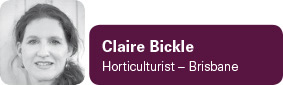 View contributor profile Claire Bickle