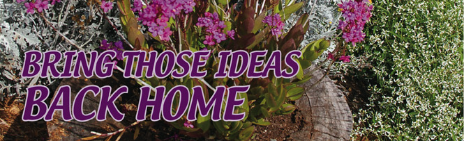 Bring those ideas back home