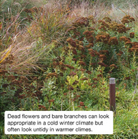 Dead flowers and bare branches can look appropriate in a cold winter climate but often look untidy in warmer climes