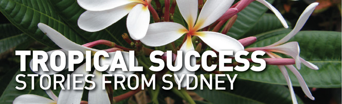 Tropical Success Stories From Sydney