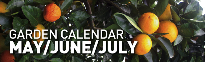 Garden Calendar - MAY/JUNE/JULY