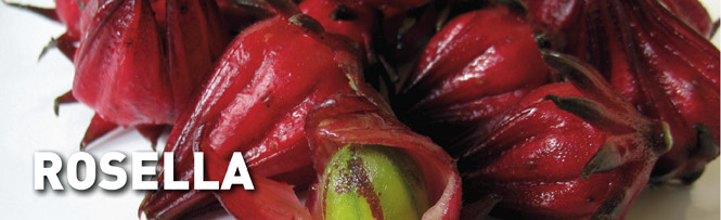 Rosella
