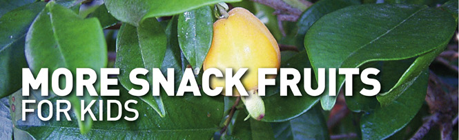 More Snack Fruits For Kids