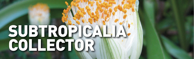 Subtopicalia Collector