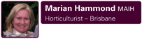 Marian Hammond