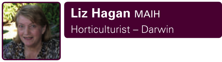 Liz Hagan