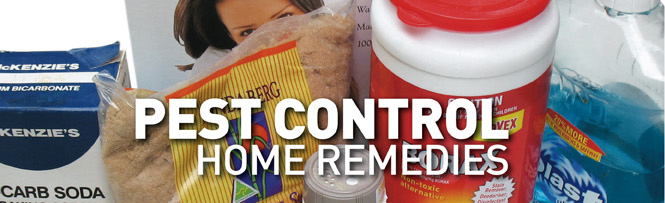 Pest Control - Home Remedies