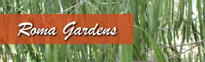 Roma Gardens