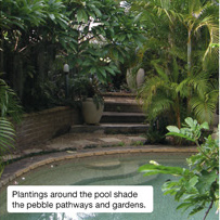 Plantings around the pool shade the pebble pahtways and gardens
