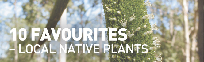 10 Favourites - Local Native Plants