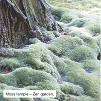 Moss temple - Zen garden.