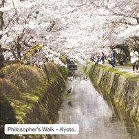 Philosopher's Walk - Kyoto.