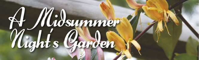 A Midsummer Night's Garden