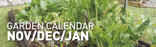 Garden Calendar - AUG/SEPT/OCT