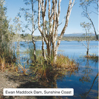 Ewan Maddock Dam, Sunshine Coast