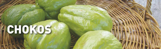 Chokos