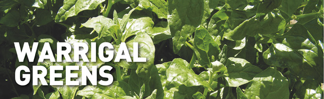 Warrigal Greens