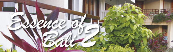 Hotel Sanur Beach, Sanur Bali