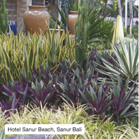 Hotel Sanur Beach, Sanur Bali
