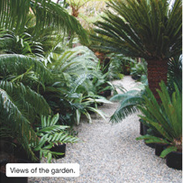 Views of the garden.