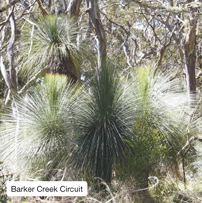 Barker Creek Circuit